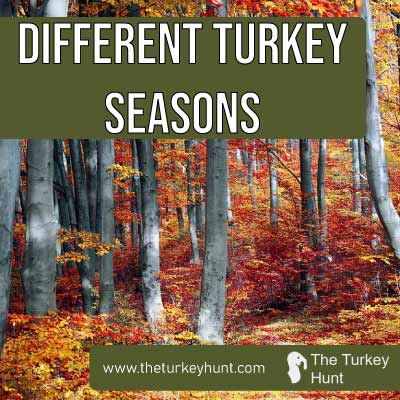 when is turkey season featured