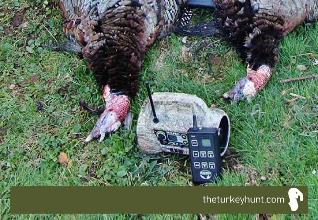 e call for turkey hunting