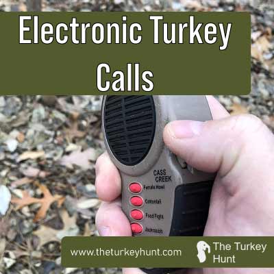 electronic turkey calls featured