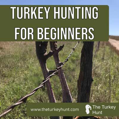 how-to-turkey-hunt-for-beginners-featured