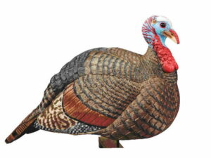 turkey decoy example