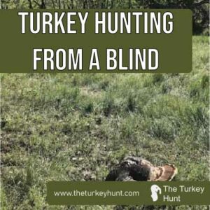 turkey hunting from a blind