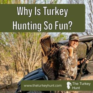 why is turkey hunting fun featured
