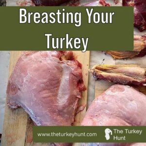 how to breast a wild turkey featured