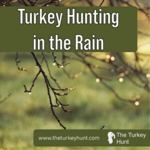 turkey hunting in the rain featured