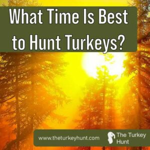 best time of day to hunt turkeys featured