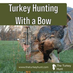 can you turkey hunt with a bow featured